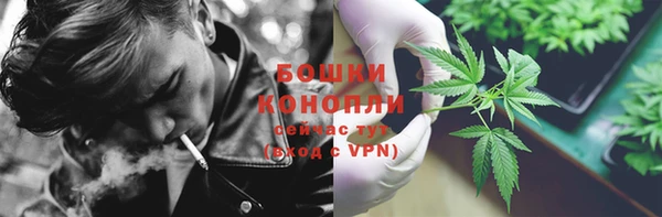 гидропоника Гусиноозёрск