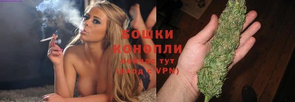 соль ск Гусь-Хрустальный