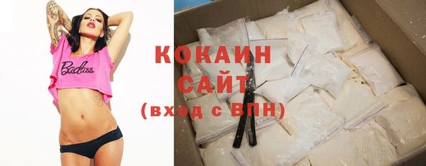 гидропоника Гусиноозёрск