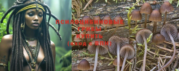 гидропоника Гусиноозёрск