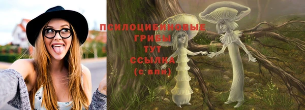 соль ск Гусь-Хрустальный
