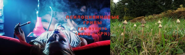 гидропоника Гусиноозёрск