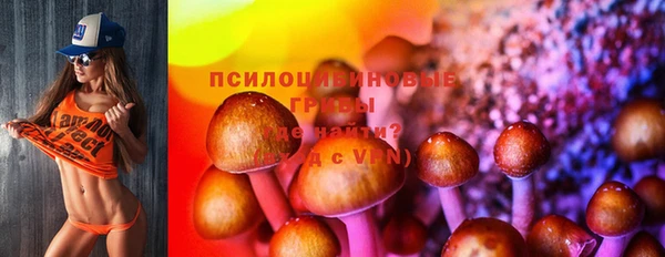 гидропоника Гусиноозёрск