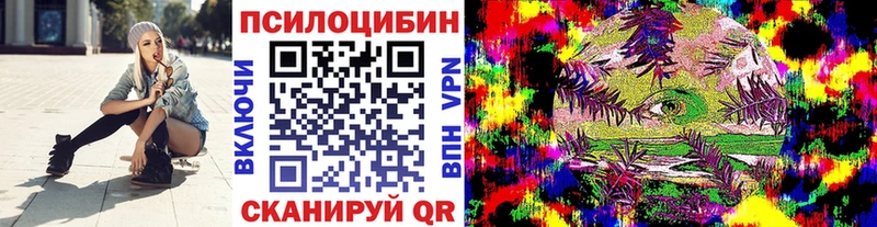 Купить Вяземский Галлюциногенные грибы мицелий